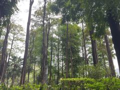-四海公园(南山区)