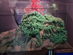 -湖南省地质博物馆