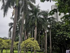 -东风公园