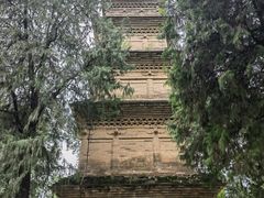 -兴教寺