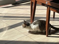 -阿芬卤面(花巷店)