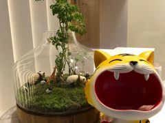 -齐玉齿科JADENTAL