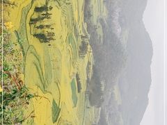 -牛街螺丝田