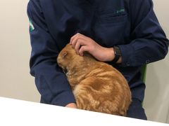 -佳雯宠物医院(四明中路分院)