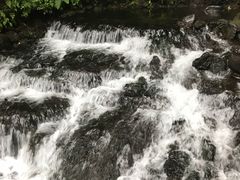 -峡谷浮石林景区