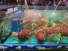 -花开富贵平潭海鲜楼(平潭店)