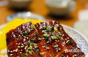 Kyushu Grilled Eel Rice Bowl