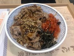 -吉野家(红博中央公园店)