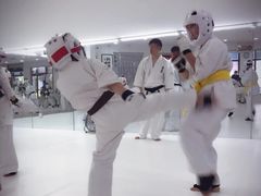 -极真空手道修远道场