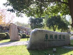 -唐城墙遗址公园
