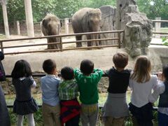 -西安秦岭野生动物园