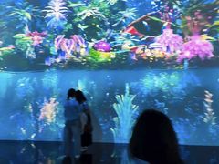 -中国湿地博物馆