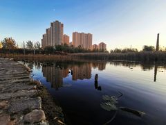 -前关湿地公园