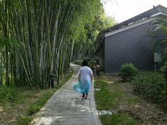 -林丰温泉度假山庄