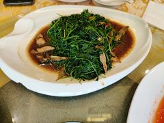蚌肉金花菜-老苏州茶酒楼