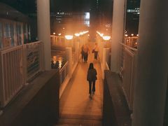 -九龙公园