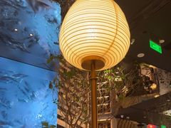 -桂满陇·海市蜃楼·黑金(国金店)