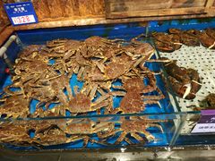 -开海·红岛海鲜虾水饺(石老人店)
