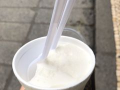 椰子雪糕-洪馨椰子
