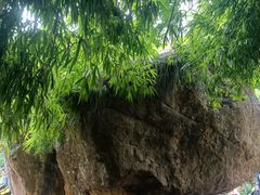 -井空里大峡谷
