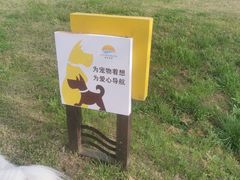 -启东黄金海滩景区
