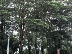 -滨海公园