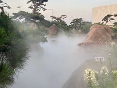 -罗红摄影艺术馆