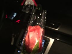 -枫花园汽车电影院(朝阳公园店)