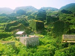 -枸杞岛