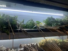 -水碾河刘老大串串香(水碾河路店)