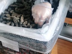 -宫品海参专卖店(静安大宁店)