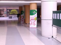 -上海市实验学校
