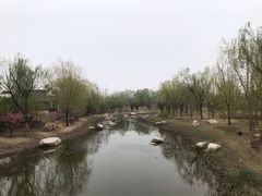 -武清南湖绿博园