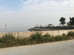 -海鸥岛