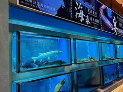 -海泰食府(北京总店)