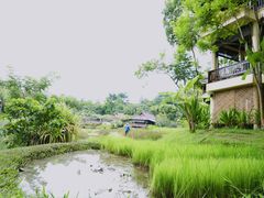 -四季酒店下午茶