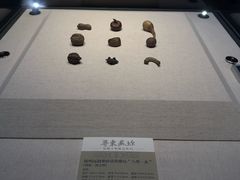-汕头市博物馆