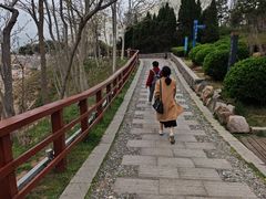 -燕儿岛山公园
