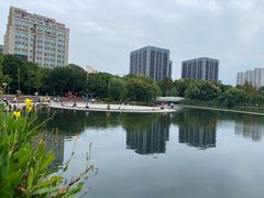 -南翔镇银翔湖公园