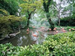 -上海动物园(地铁站)