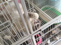 -可蒙动物医院·猫科·骨科中心(首义路店)