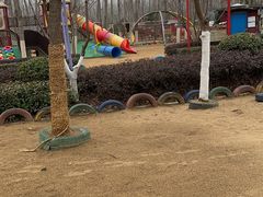 -合肥滨湖国家森林公园