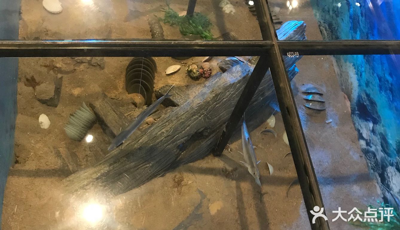 探|大学城藏匿不朽文明地