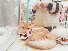 -万达广场(巴南店)