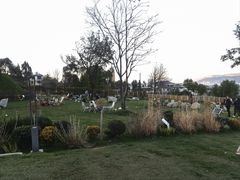 -云禾壹海景庄园餐厅