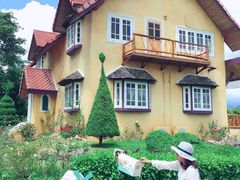 -黄色小屋