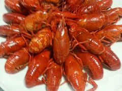 android_upload_pic-亮亮烧烤(积玉桥总店)