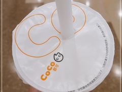 -CoCo都可(漫乐城店)