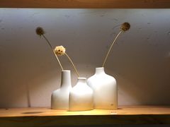 -柴务处·柴犬主题狗咖