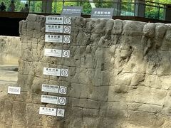 -金沙遗址博物馆